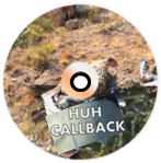 HuH - Callback,  2016 CaseyF. Sweeney and Philip L. Thompson